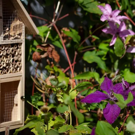 La Salamandre Ideal Couples & Familles Grands A Saint-marc-sur-mer A 500m Des Plages Proche De La Baule Дом отдыха