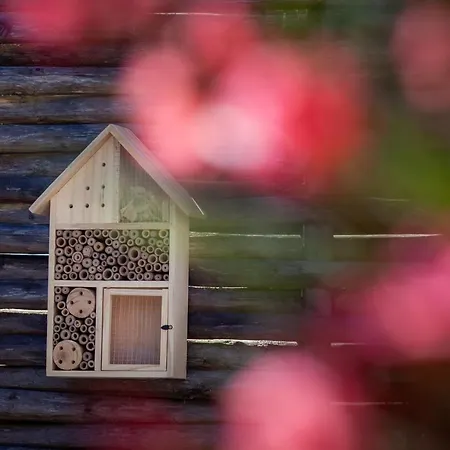 La Salamandre Ideal Couples & Familles Grands A Saint-marc-sur-mer A 500m Des Plages Proche De La Baule Ferienhaus Saint-Nazaire (Loire-Atlantique)