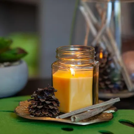 La Salamandre Ideal Couples & Familles Grands A Saint-marc-sur-mer A 500m Des Plages Proche De La Baule Ferienhaus *